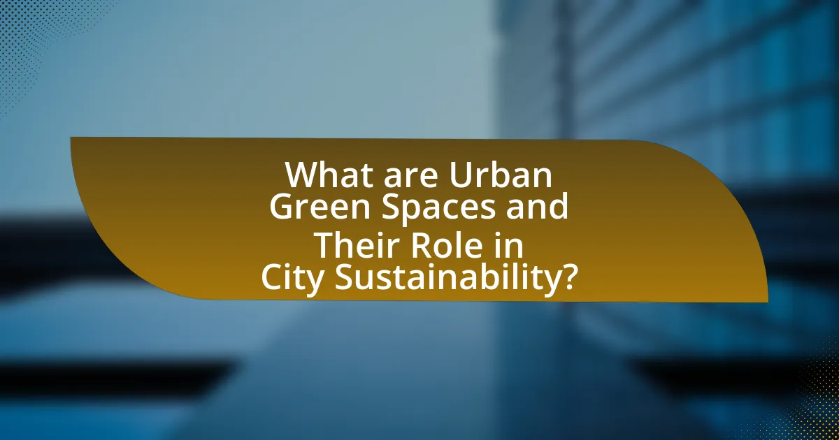 What are Urban Green Spaces and Their Role in City Sustainability?